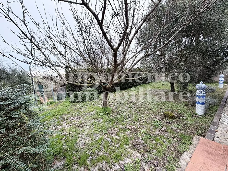 Immagine 20 di Terratetto in vendita  a Crespina Lorenzana