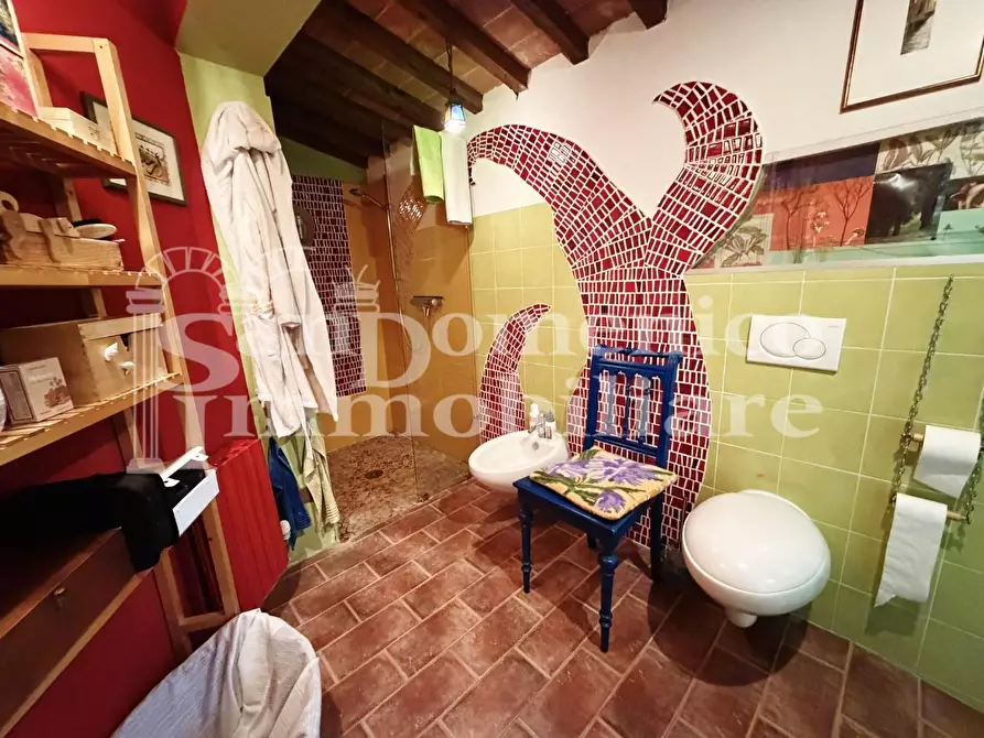 Immagine 10 di Terratetto in vendita  a Crespina Lorenzana