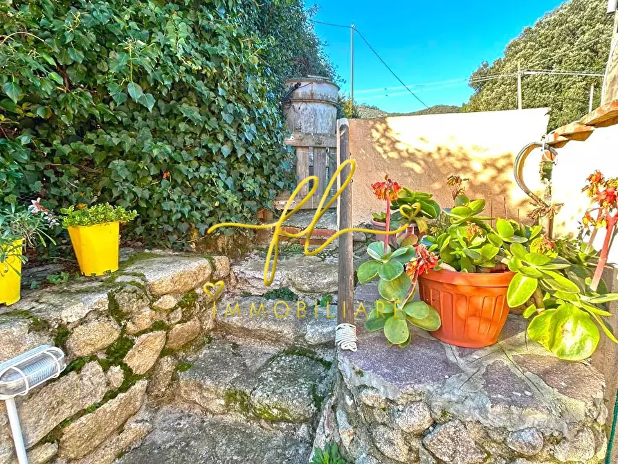 Immagine 23 di Appartamento in vendita  a Marciana