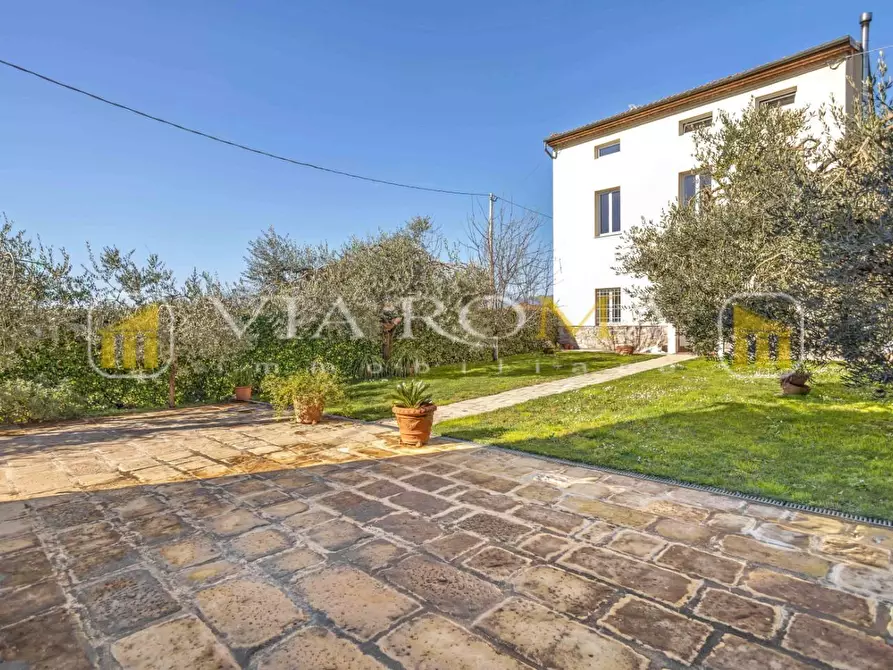 Immagine 45 di Villa in vendita  a Capannori