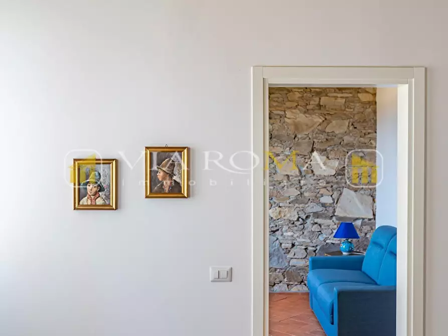 Immagine 39 di Villa in vendita  a Capannori