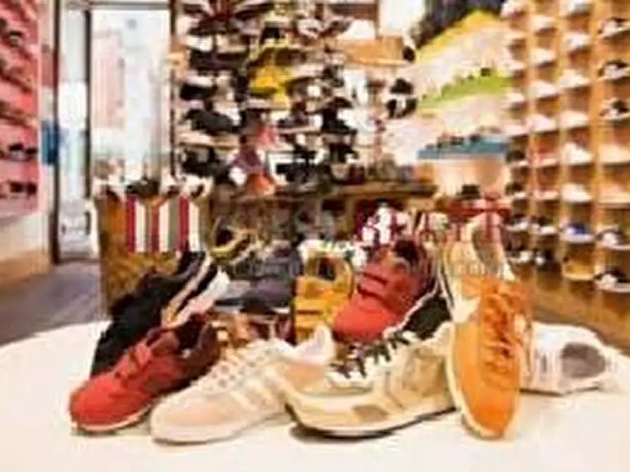 Immagine 4 di Attività commerciale in vendita  a Viareggio