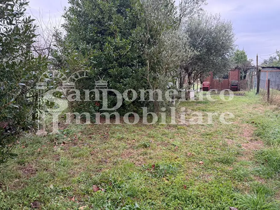 Immagine 13 di Appartamento in vendita  a Pisa