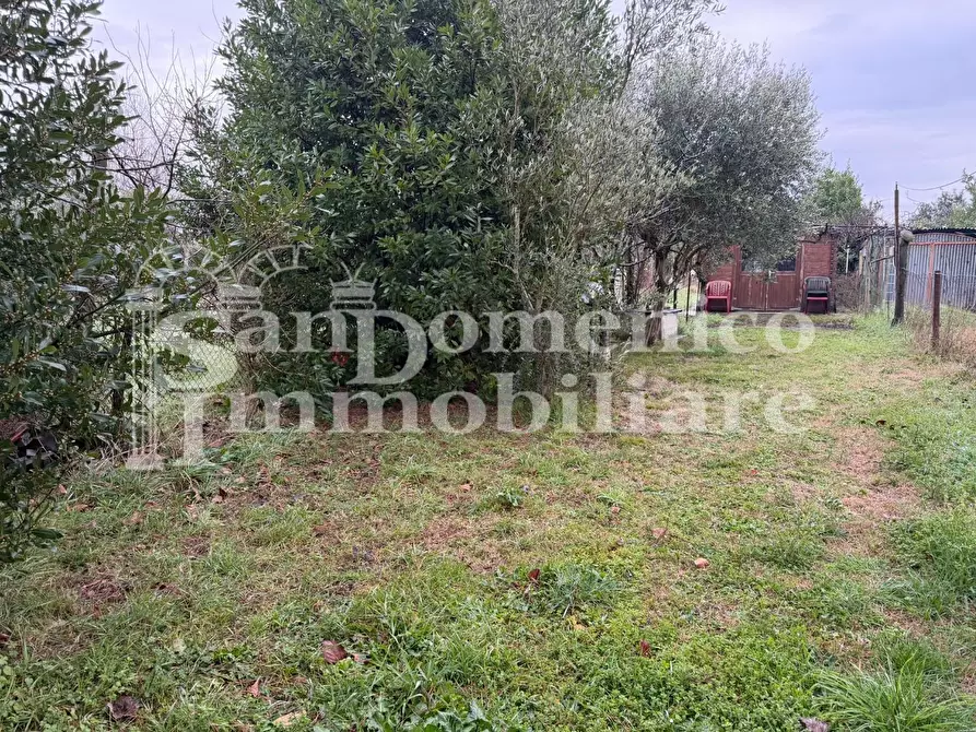 Immagine 12 di Appartamento in vendita  a Pisa