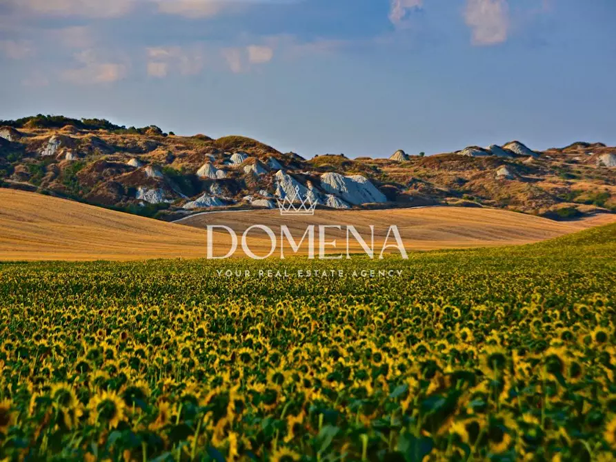 Immagine 19 di Casa colonica in vendita  a Monteroni D'arbia