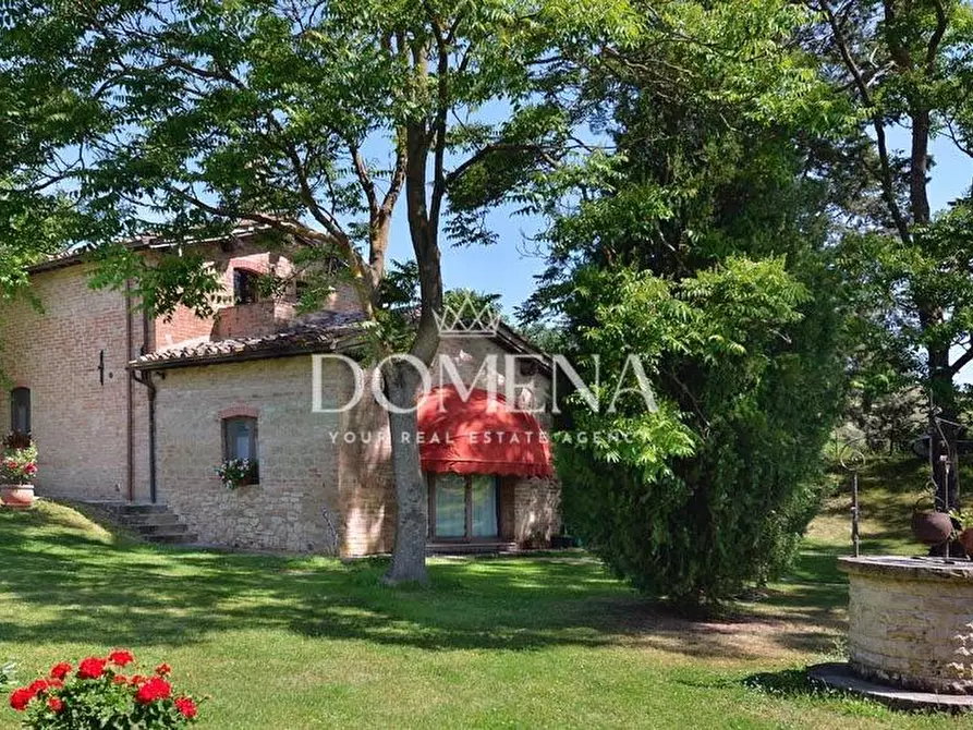 Immagine 15 di Casa colonica in vendita  a Monteroni D'arbia