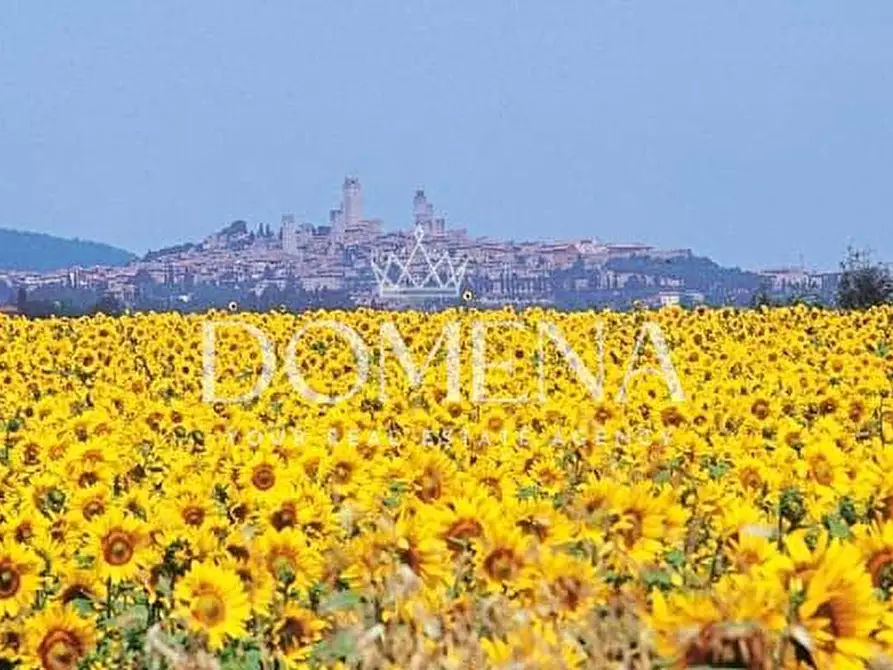 Immagine 21 di Casa colonica in vendita  a Monteroni D'arbia