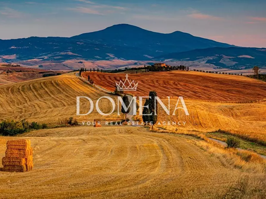Immagine 23 di Casa colonica in vendita  a Monteroni D'arbia