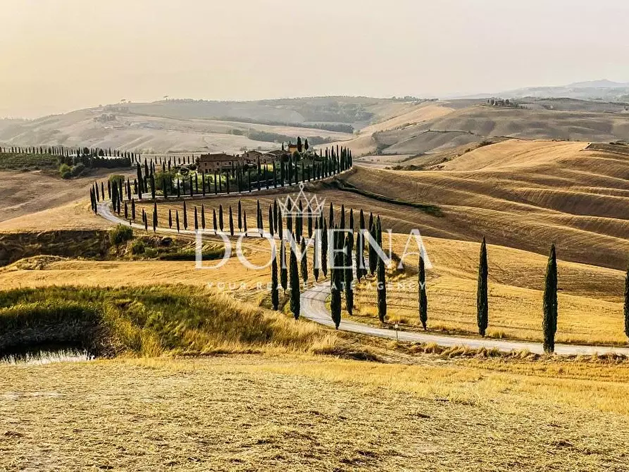 Immagine 20 di Casa colonica in vendita  a Monteroni D'arbia