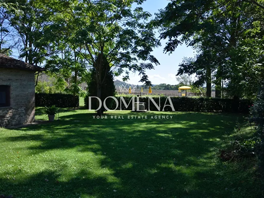 Immagine 14 di Casa colonica in vendita  a Monteroni D'arbia