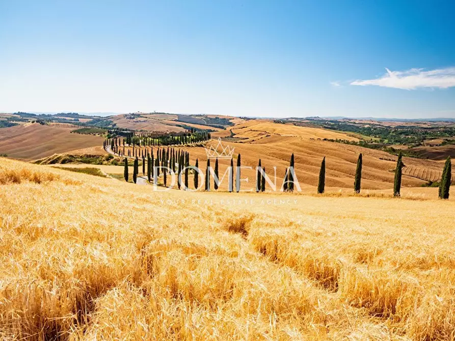 Immagine 22 di Casa colonica in vendita  a Monteroni D'arbia