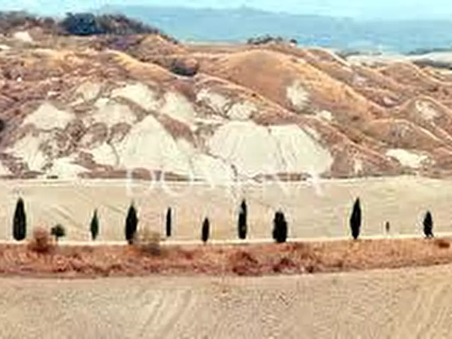 Immagine 16 di Casa colonica in vendita  a Monteroni D'arbia