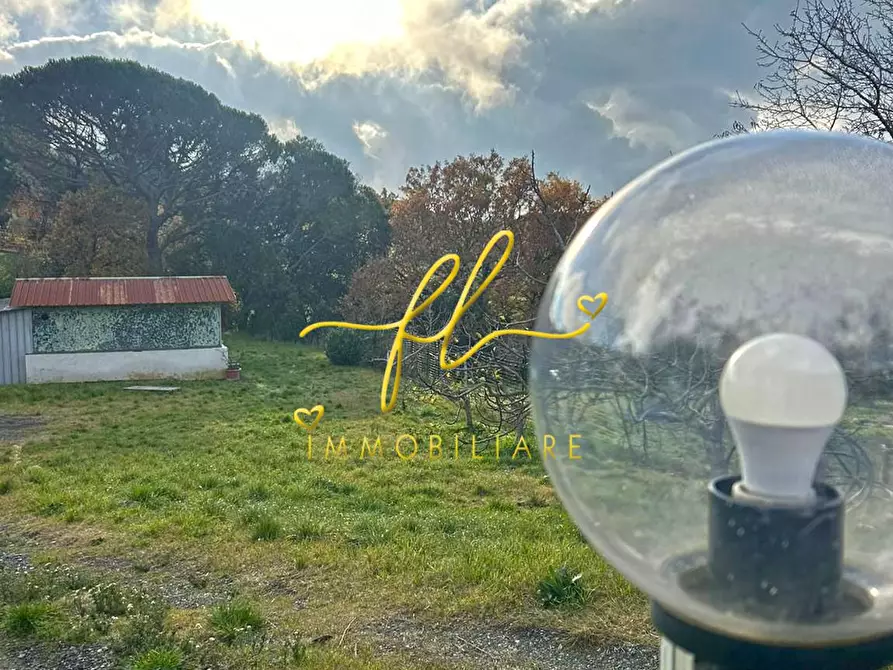 Immagine 5 di Terreno agricolo in vendita  a Castellina Marittima
