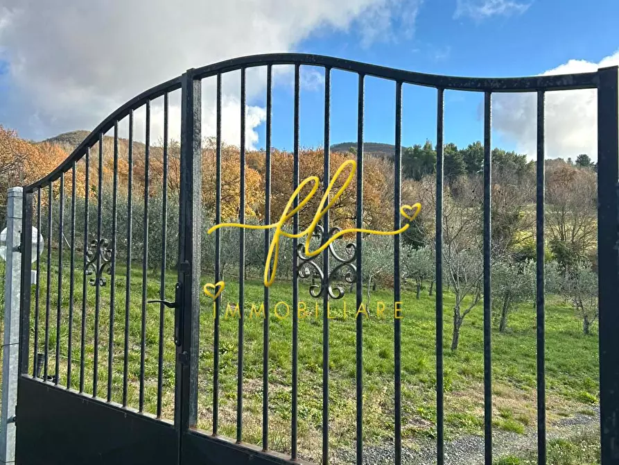Immagine 6 di Terreno agricolo in vendita  a Castellina Marittima