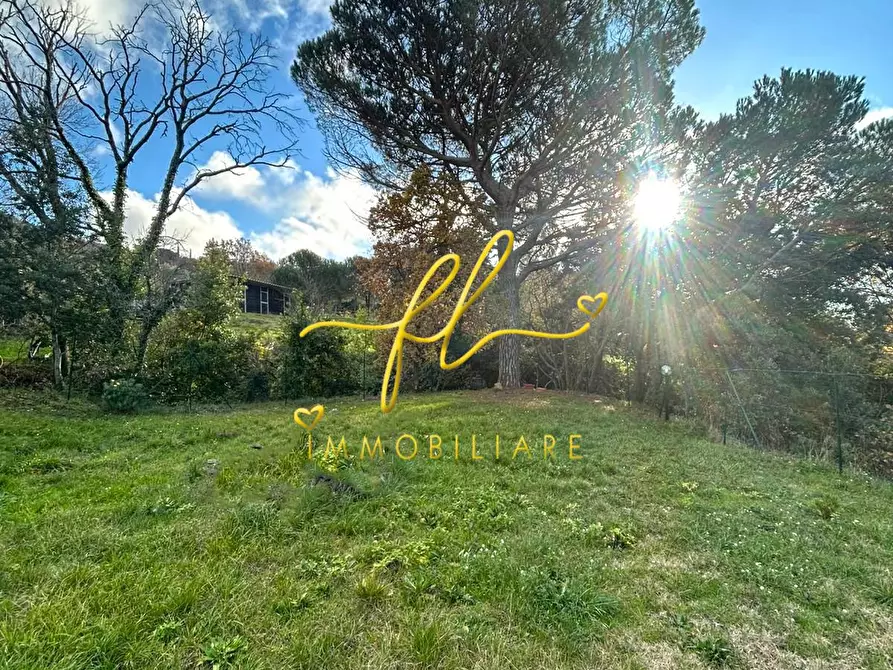 Immagine 8 di Terreno agricolo in vendita  a Castellina Marittima