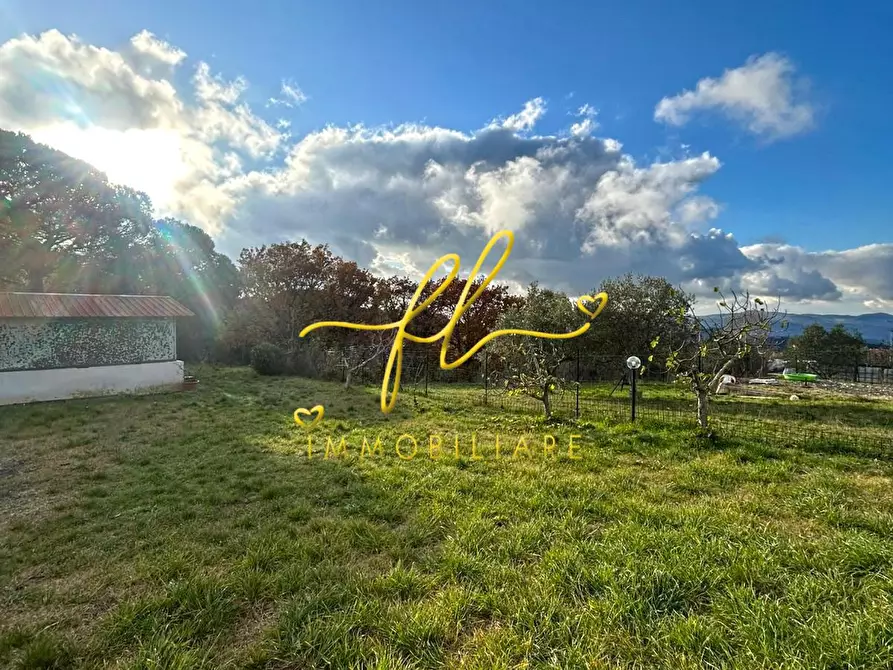 Immagine 4 di Terreno agricolo in vendita  a Castellina Marittima