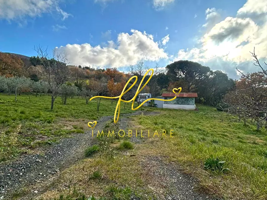 terreno agricolo in vendita a Castellina Marittima