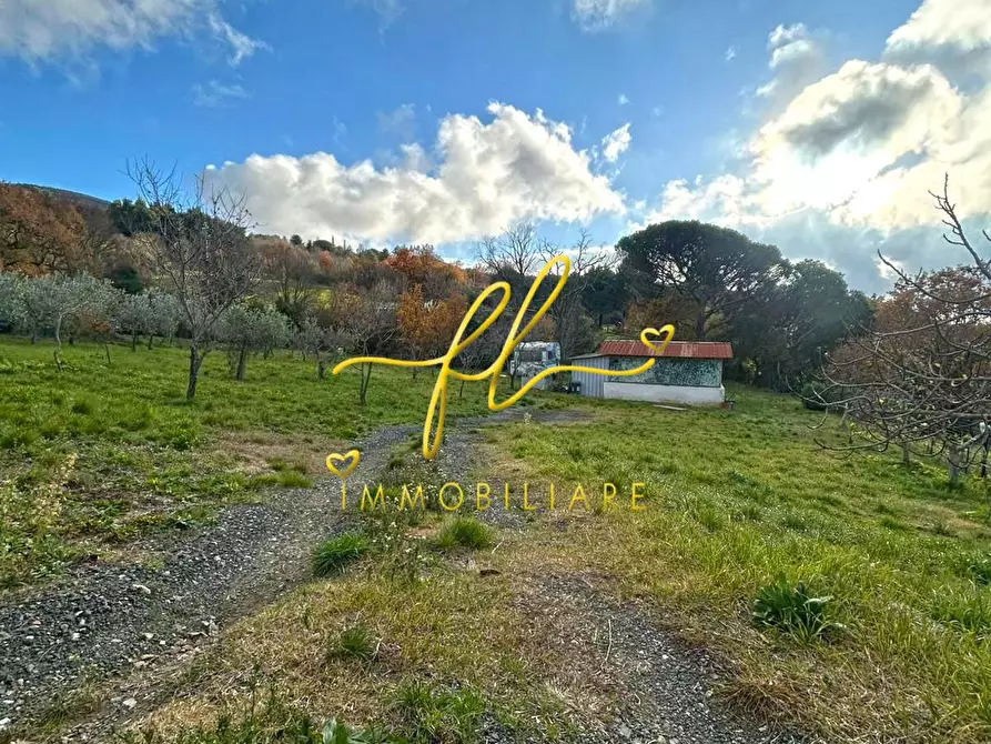 Immagine 3 di Terreno agricolo in vendita  a Castellina Marittima