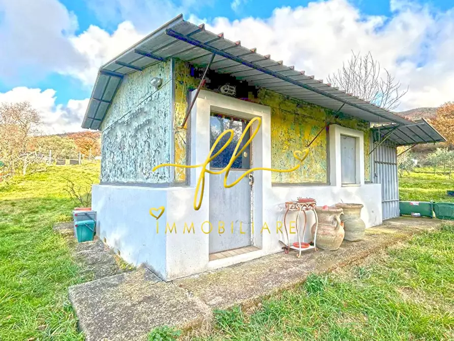 Immagine 2 di Terreno agricolo in vendita  a Castellina Marittima