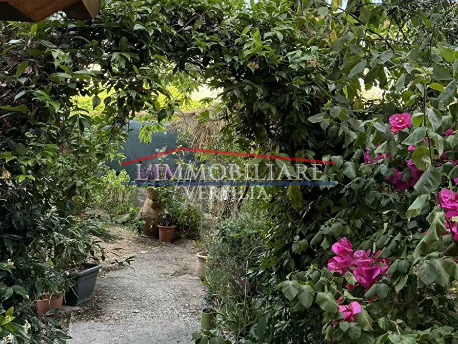 Immagine 7 di Appartamento in vendita  a Massa