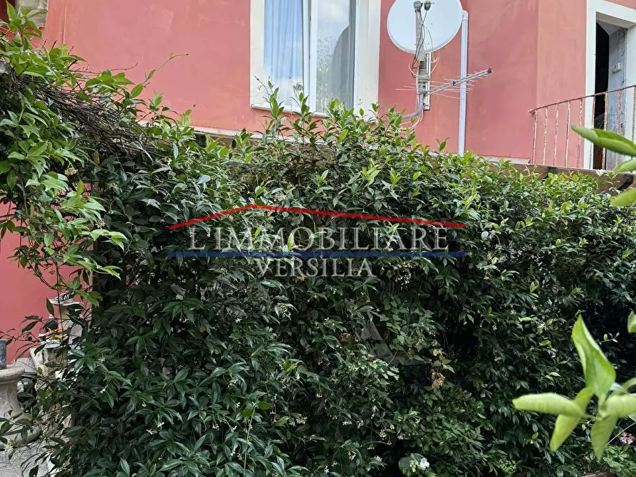 Immagine 6 di Appartamento in vendita  a Massa