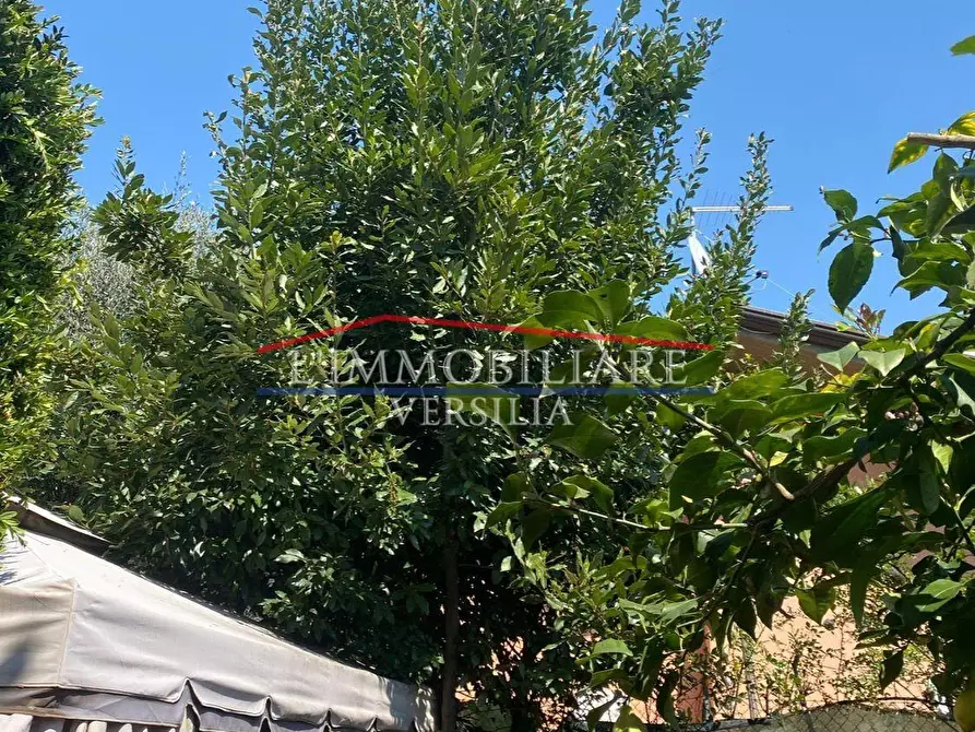 Immagine 3 di Appartamento in vendita  a Massa