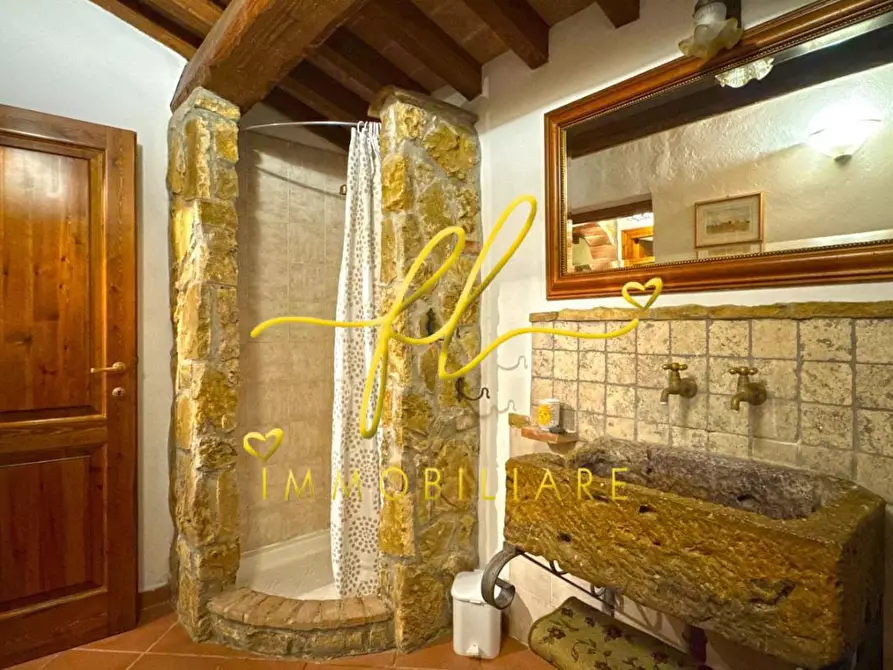 Immagine 57 di Villa in vendita  a Montescudaio