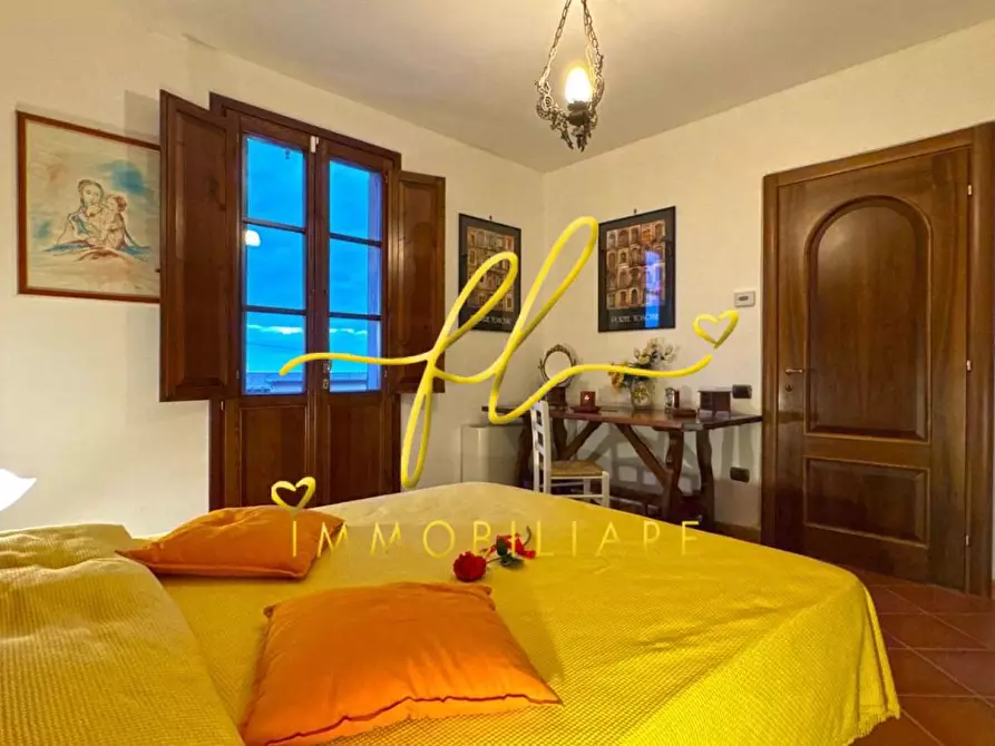 Immagine 41 di Villa in vendita  a Montescudaio