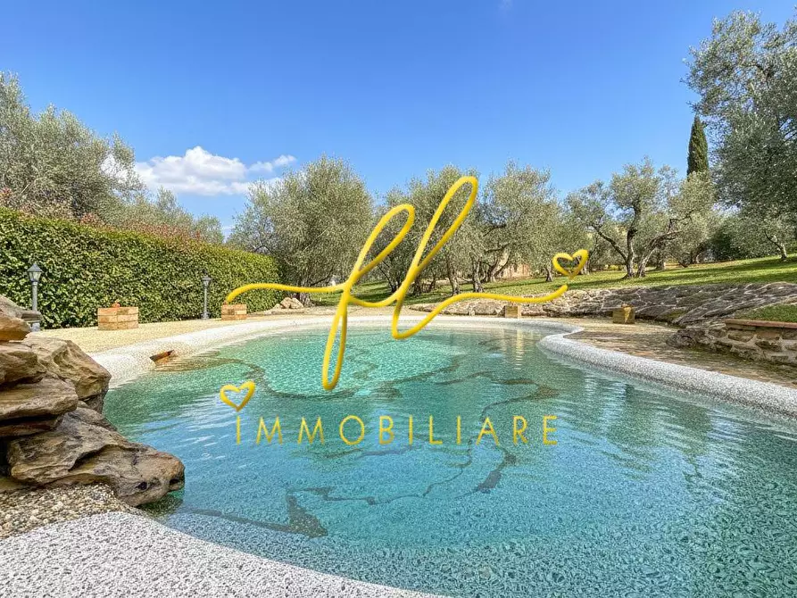 Immagine 89 di Villa in vendita  a Montescudaio