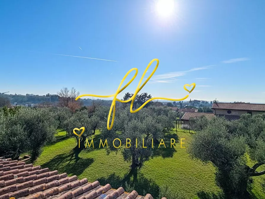 Immagine 88 di Villa in vendita  a Montescudaio