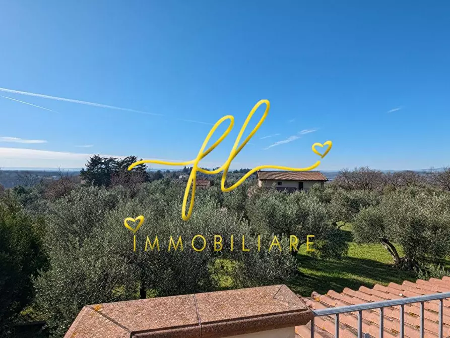 Immagine 83 di Villa in vendita  a Montescudaio