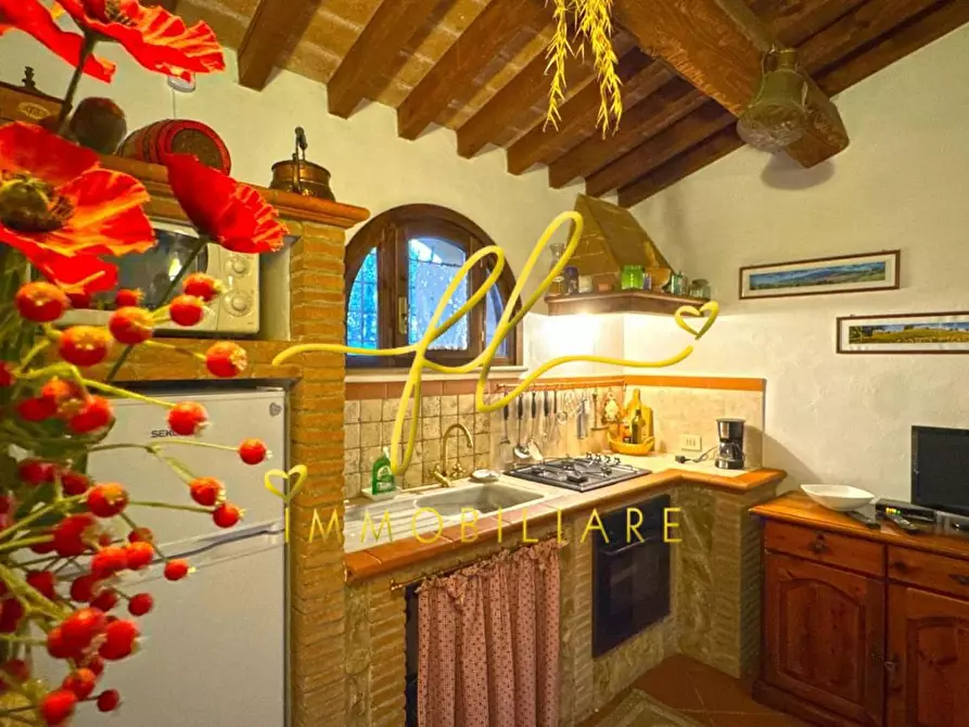 Immagine 34 di Villa in vendita  a Montescudaio