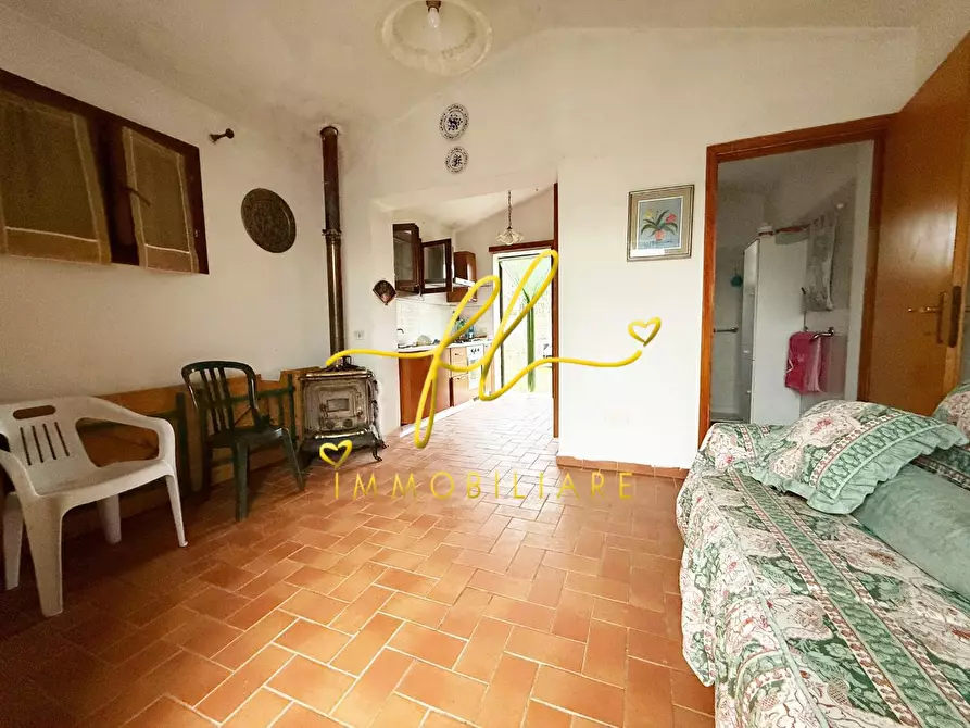 Immagine 9 di Terreno agricolo in vendita  a Rosignano Marittimo