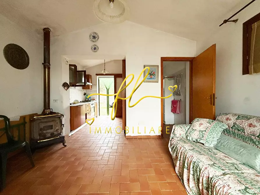 Immagine 5 di Terreno agricolo in vendita  a Rosignano Marittimo