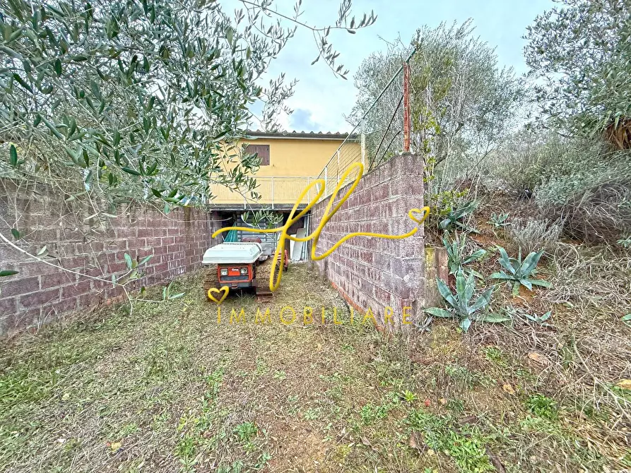 Immagine 15 di Terreno agricolo in vendita  a Rosignano Marittimo