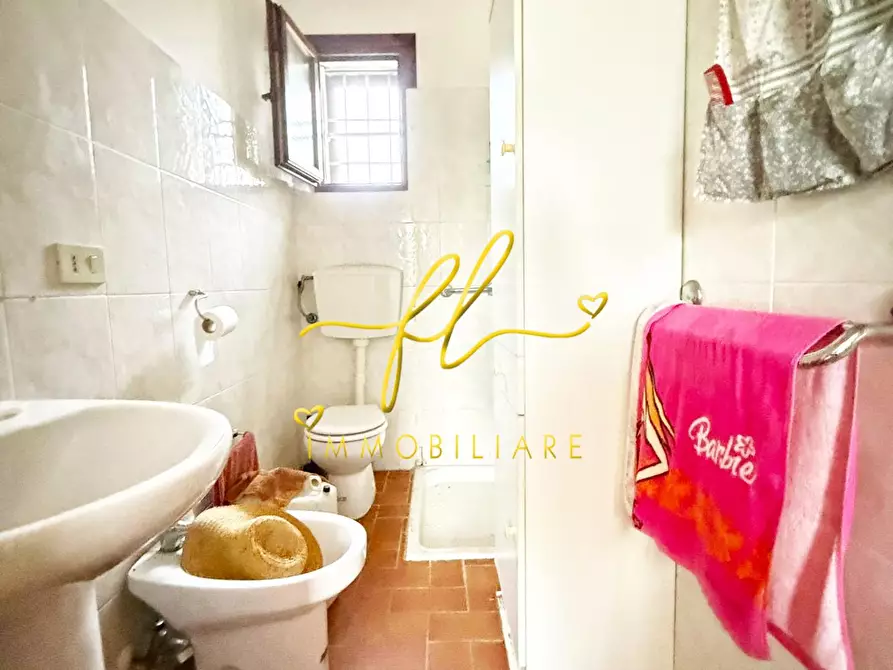 Immagine 4 di Terreno agricolo in vendita  a Rosignano Marittimo