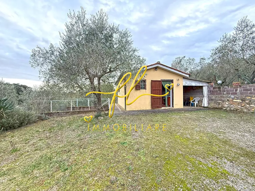 Immagine 1 di Terreno agricolo in vendita  a Rosignano Marittimo