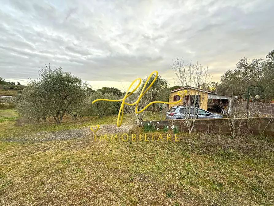 Immagine 14 di Terreno agricolo in vendita  a Rosignano Marittimo