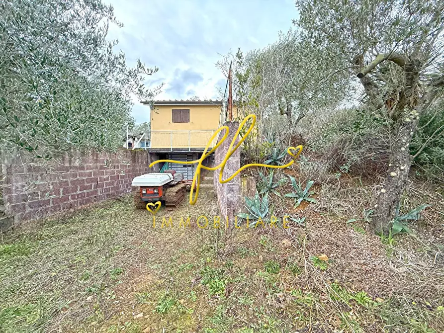 Immagine 11 di Terreno agricolo in vendita  a Rosignano Marittimo