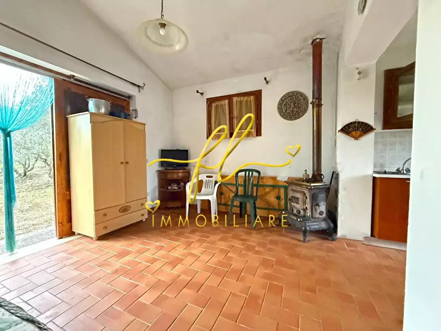 Immagine 6 di Terreno agricolo in vendita  a Rosignano Marittimo