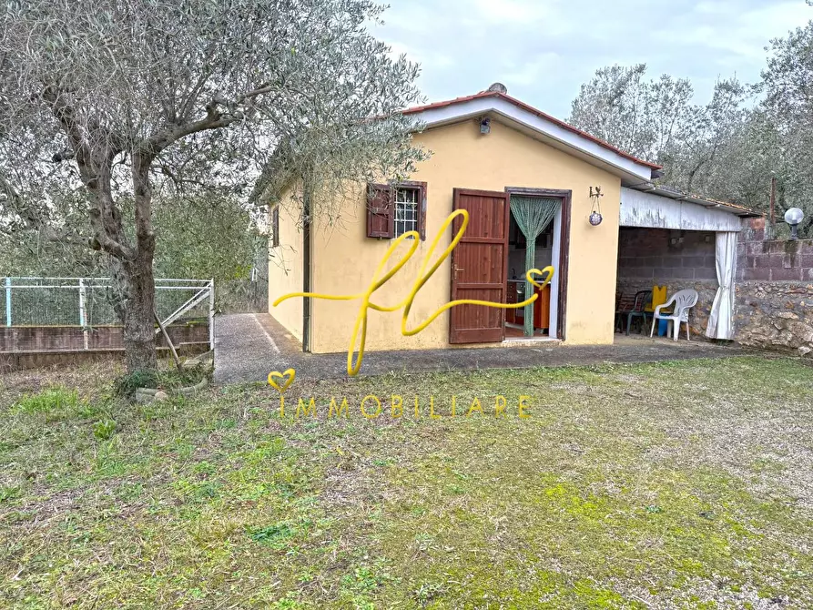 Immagine 3 di Terreno agricolo in vendita  a Rosignano Marittimo