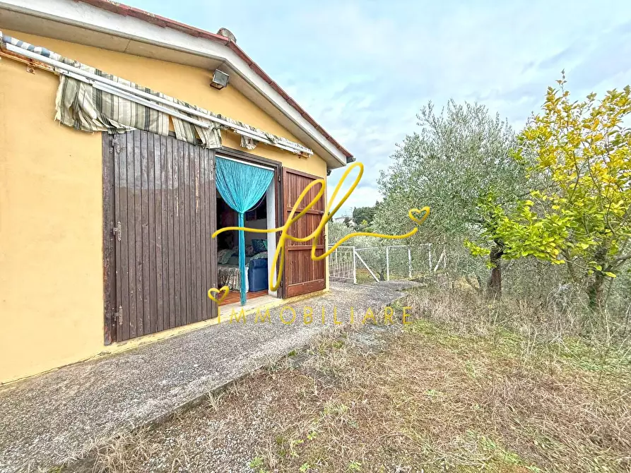 Immagine 8 di Terreno agricolo in vendita  a Rosignano Marittimo