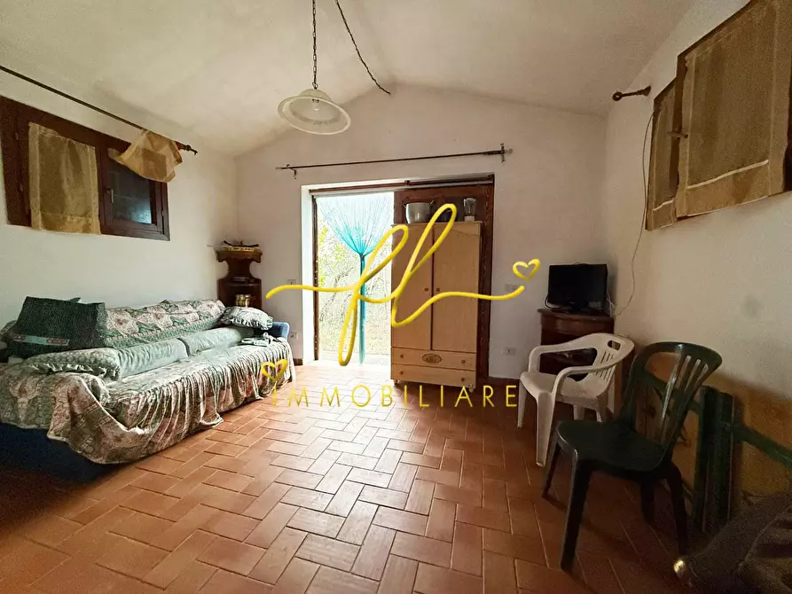 Immagine 2 di Terreno agricolo in vendita  a Rosignano Marittimo