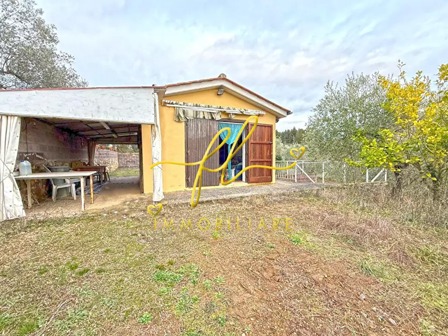 Immagine 7 di Terreno agricolo in vendita  a Rosignano Marittimo