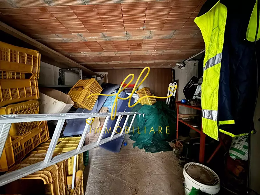 Immagine 12 di Terreno agricolo in vendita  a Rosignano Marittimo