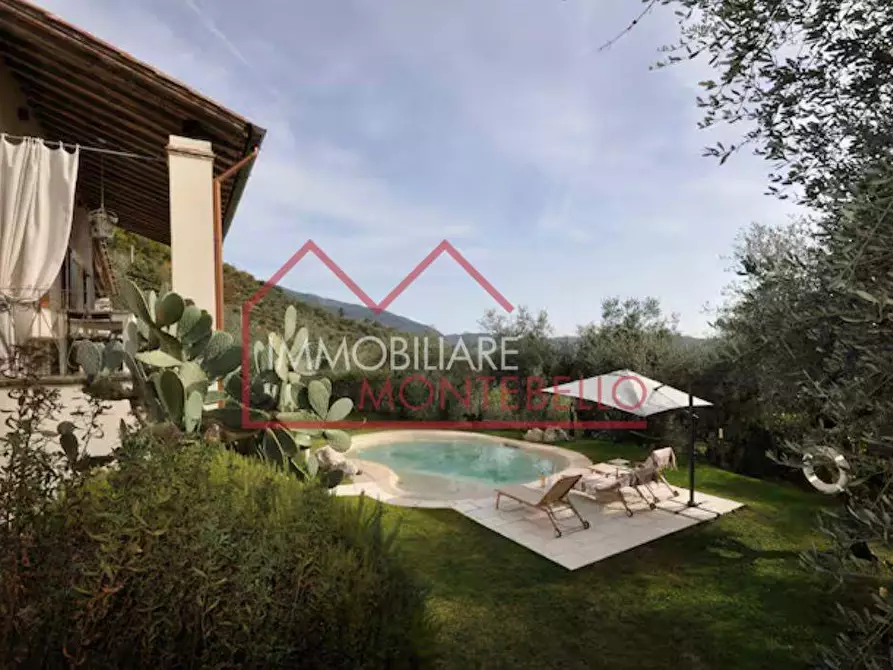 Immagine 6 di Casa colonica in vendita  a Camaiore