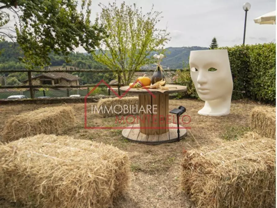Immagine 50 di Agriturismo in vendita  a Camaiore