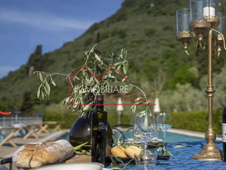Immagine 51 di Agriturismo in vendita  a Camaiore