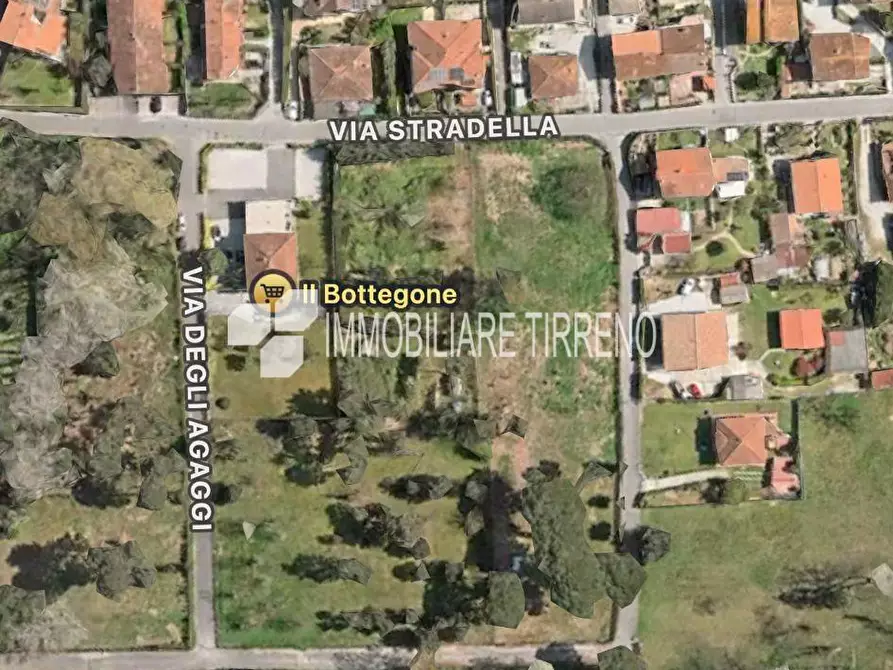 Immagine 1 di Terreno agricolo in vendita  a Massa