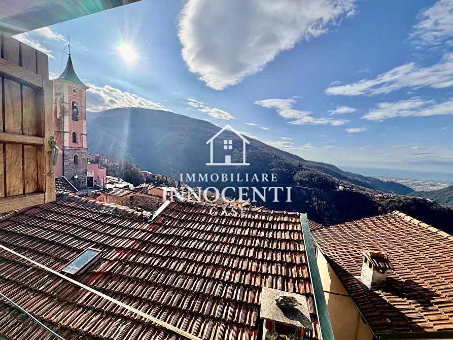 Immagine 15 di Terratetto in vendita  a Massa